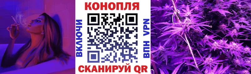 Бошки Шишки план  Кирс 